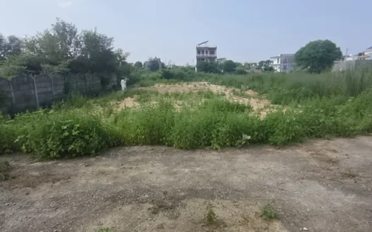 Plot in iim road